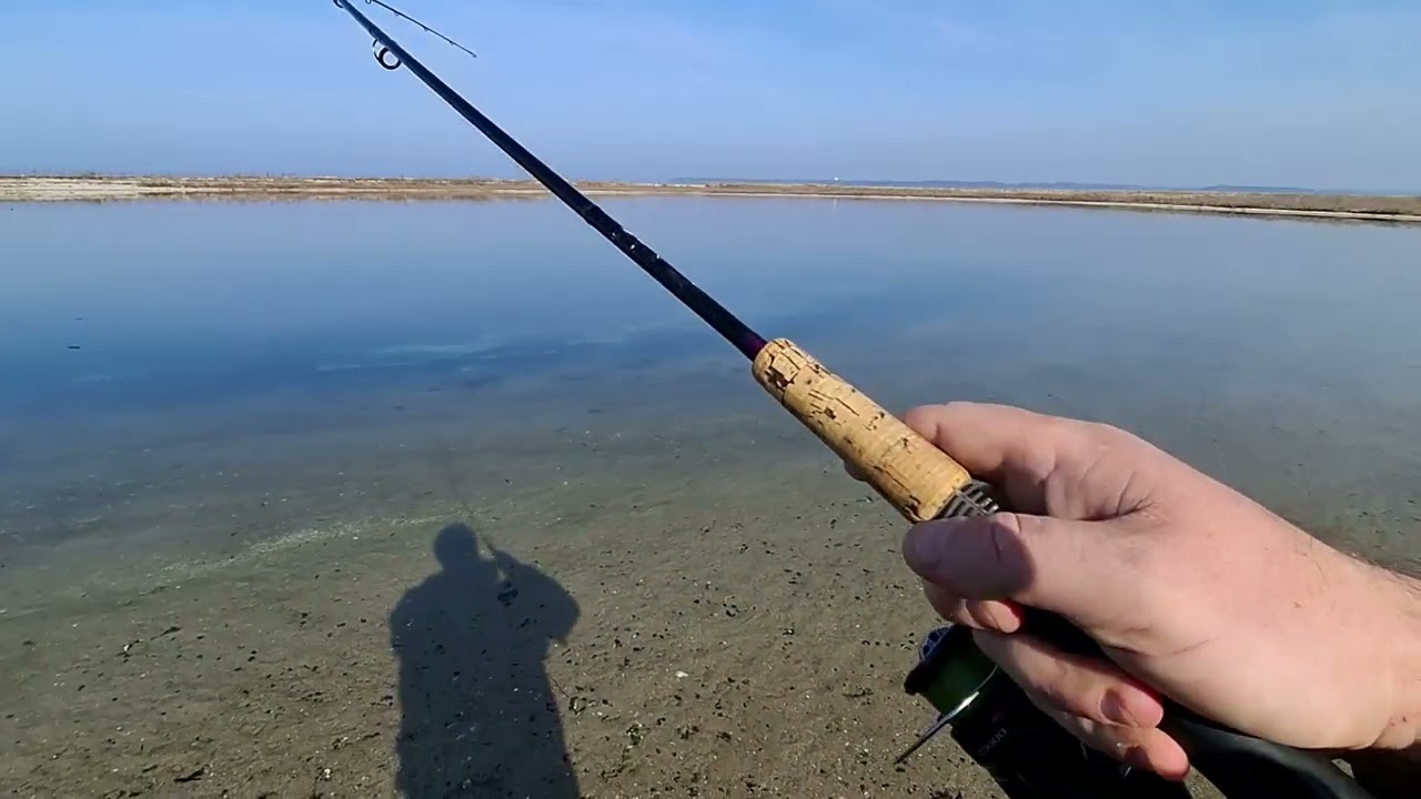 Bågø - en begynderperle i Lillebælt...