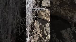 Jomsom,Nepal #jomsom #travel #viral #viralshorts