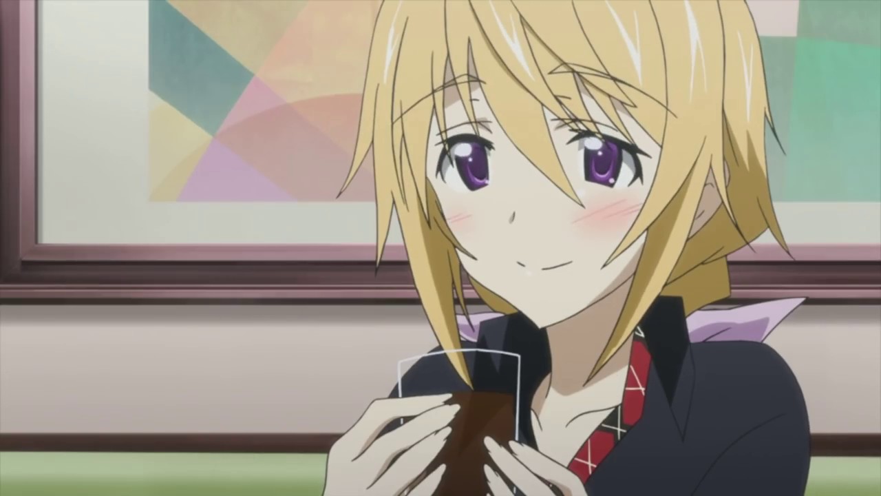 Staffel 1 von IS: Infinite Stratos Sto - TV-Serien