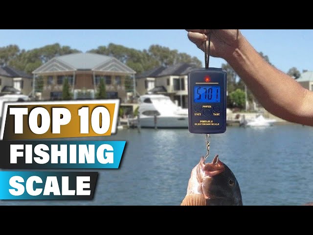How To Weigh Fish & Hold A Bass Properly (fishing tutorial) Best Scales of  2021 