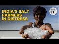 How climate change is making salt farming unsustainable