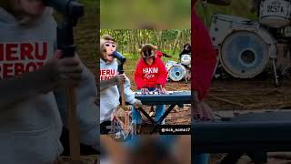 Monyet nyanyi lagu buat lucu, #monyet #videolucu #funny #animals #hiburan #lucu #monyetpintar