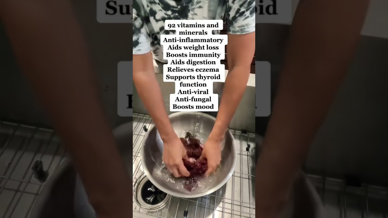 Sea Moss Gel | after you clean the seamoss let it sit in spring water a few hrs before blending.