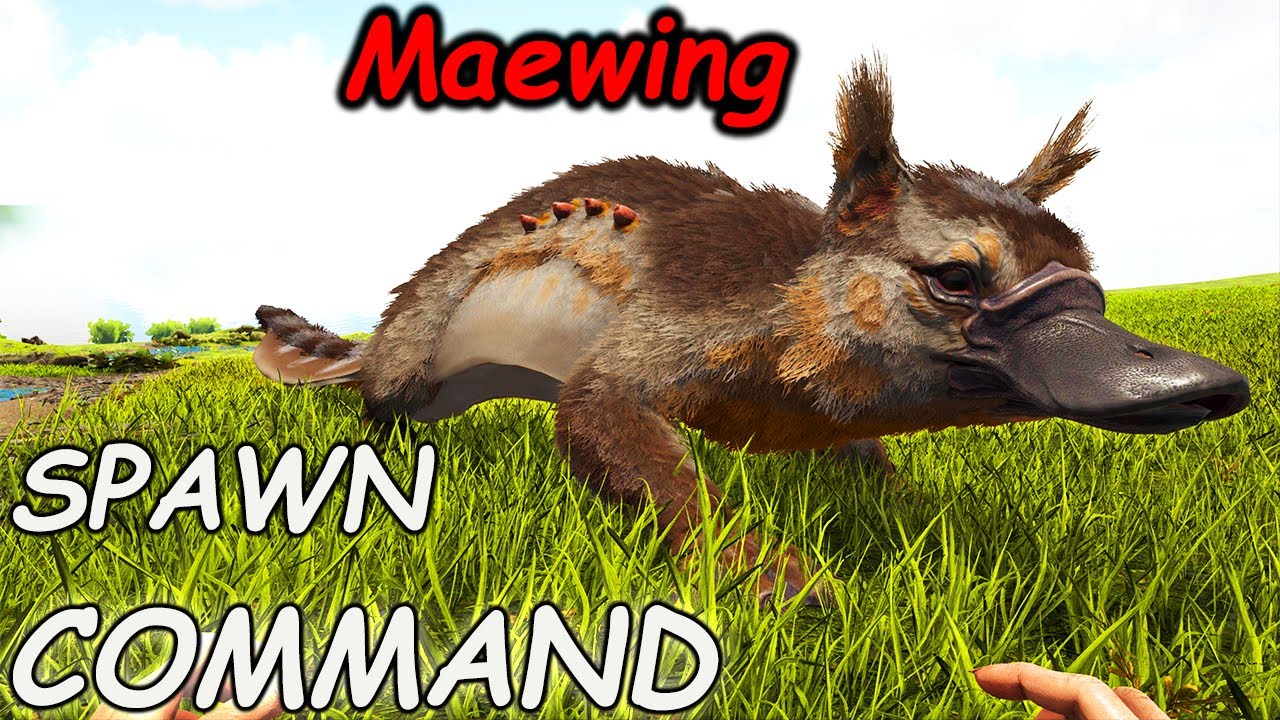 maewing