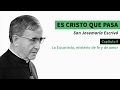 🎧  La Eucaristía, misterio de fe y de amor (Jueves Santo)