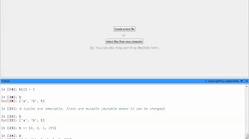 1.3.6 PLTW CSP Python Lesson (Tuples, Lists, and the random module)
