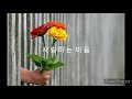 사랑하는 마음 팬플룻 연주 Panflute