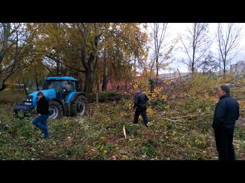 2017.11.02. - Örökösföldi templom - Fakivágás 9