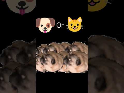 omsohskhşdmkydfıphs