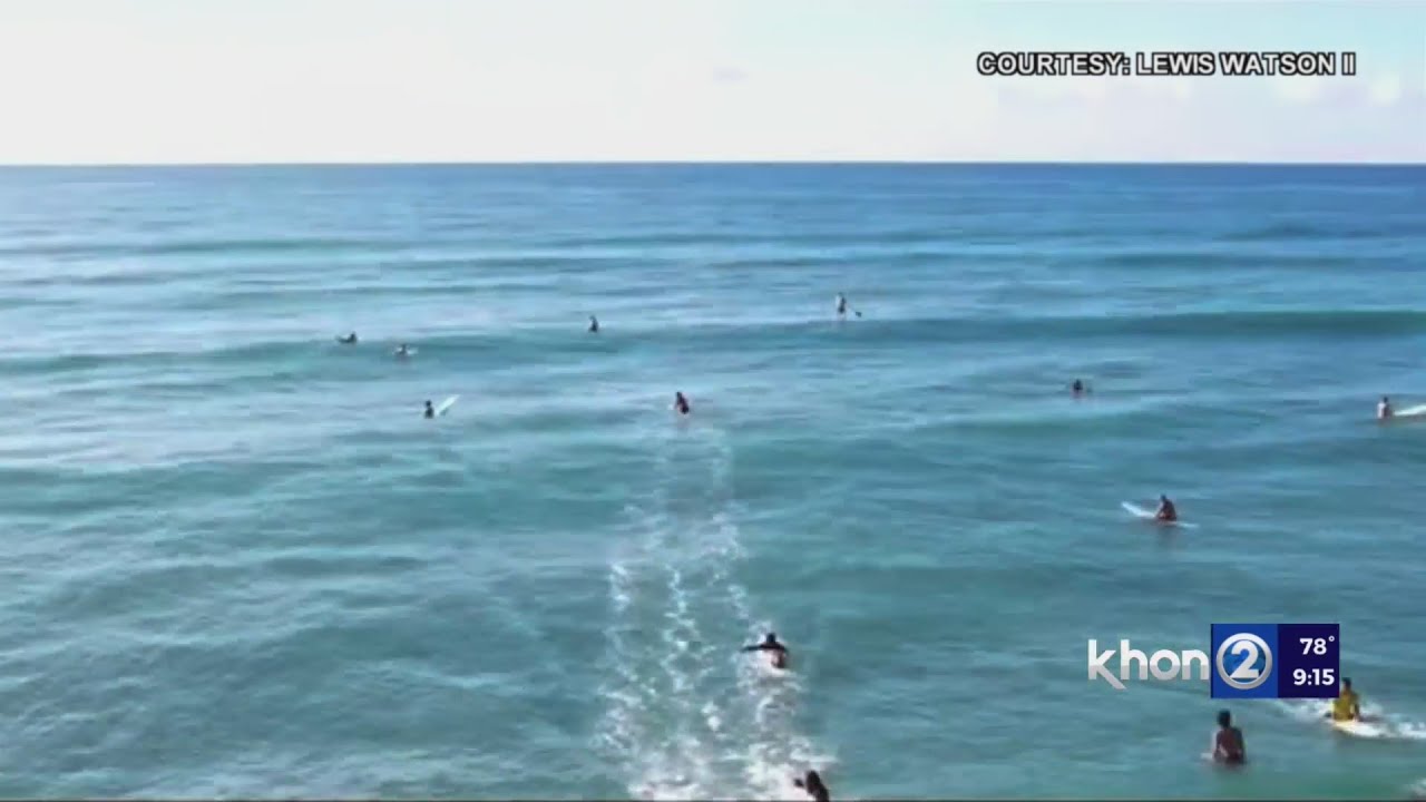 Apparent large shark swims among surfers off Ewa Beach YouTube