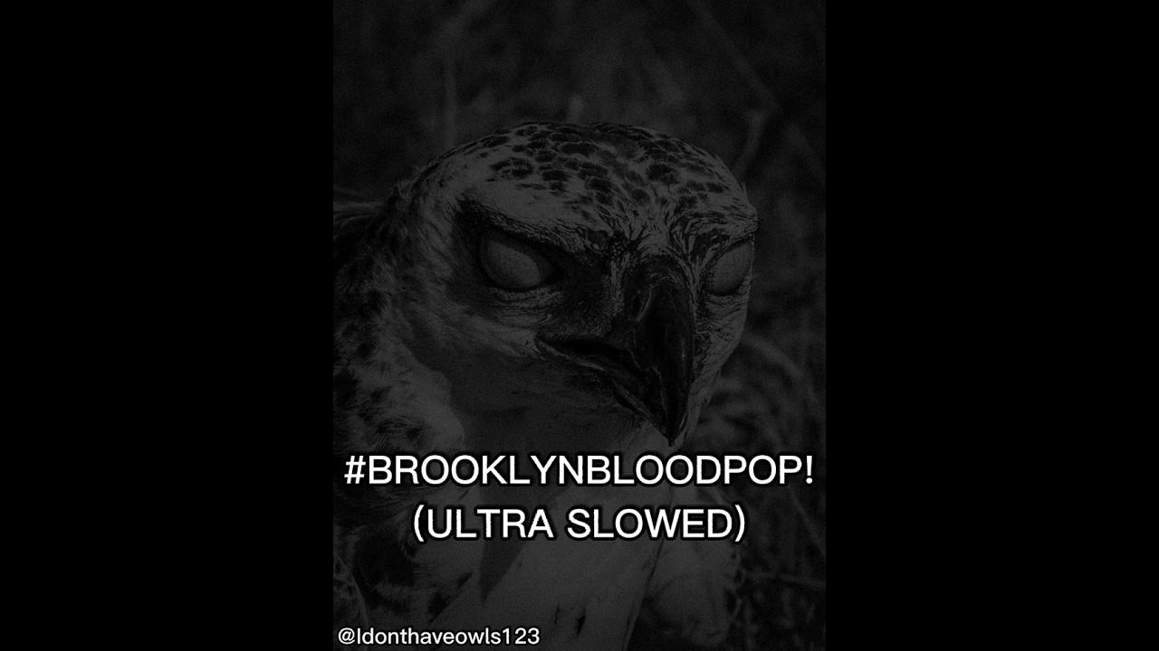 Brooklynbloodpop slowed