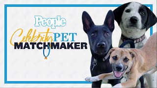 James And Mark Look To Add Another Dog To Their Pack Celebrity Pet Matchmaker People