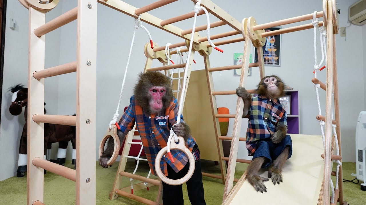 雨の日でも室内で遊べるように、お猿さんにジャングルジムを作ってあげました