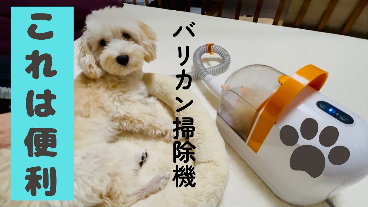 おうちサロン グルーミングクリーナー - YouTube