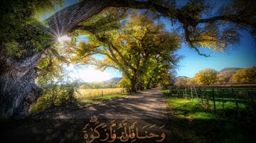 يَا يَحْيَى خُذِ الْكِتَابَ بِقُوَّةٍ وَآَتَيْنَاهُ الْحُكْمَ صَبِيًّا//من سورة مريم-آية (12)Full-HD