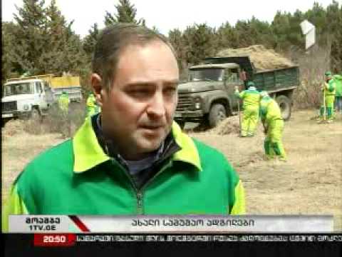 დენდროლოგიურ პარკი