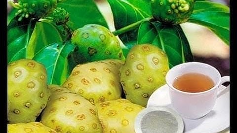 Nước ép trái nhàu công ty cổ phần sản xuất Dorafoods