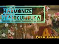 Harmonize Utanikumbuka Official Video By Alvin Chipmunks Harmonize Utanikumbuka Official Video By Alvin Chipmunks