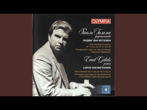 Assista a 15 Variations and Fugue in E-Flat Major, Op. 35 "Eroica": Variation VII : Canone all`ottava no YouTube