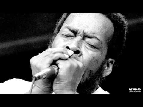 Putar Theme Song - James Cotton