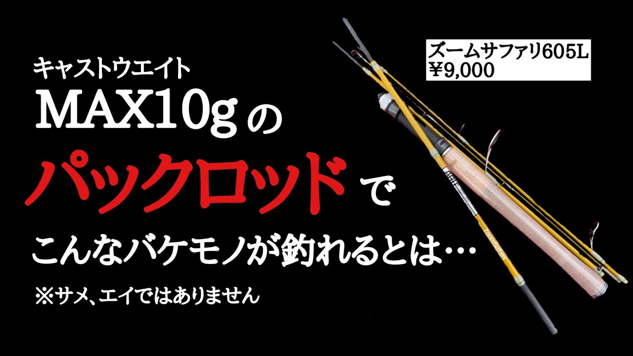 【衝撃】リュックに収まるつりざおで信じられない生物が・・・