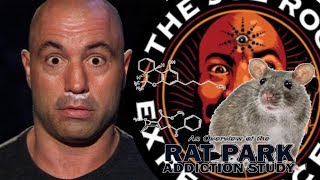 Joe Rogan & Christopher Ryan on Cocain and the Rat Park Experiment