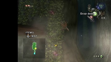 TP: Forest Temple Entrance Chest (itemless)