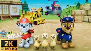 Paw Patrol On A Roll 2K Quad Hd Chase & Marshall & Skye & Rubble