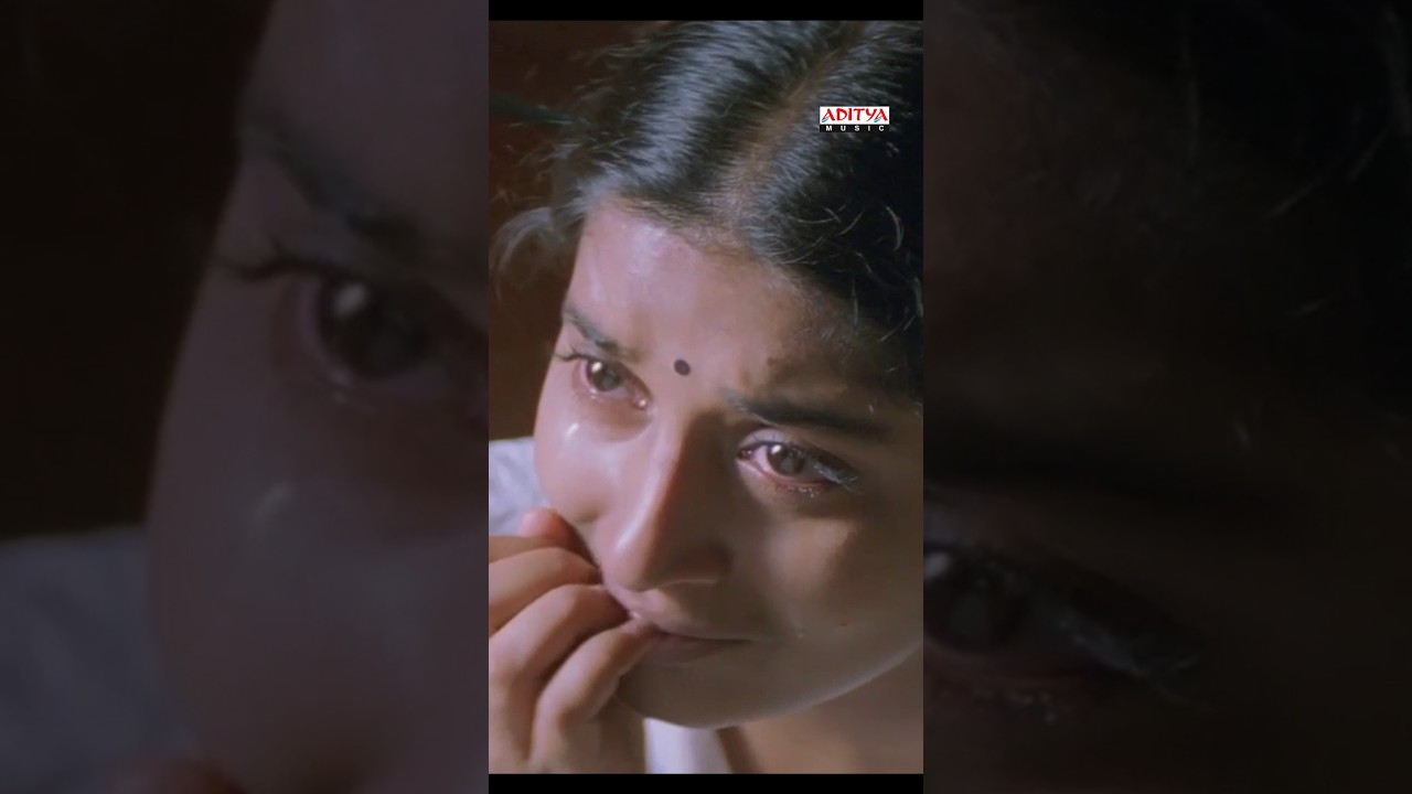 O Manasa O Manasa Song - #Bhadra Movie | #RaviTeja #MeeraJasmine #Shorts #YoutubeShorts #TeluguSongs