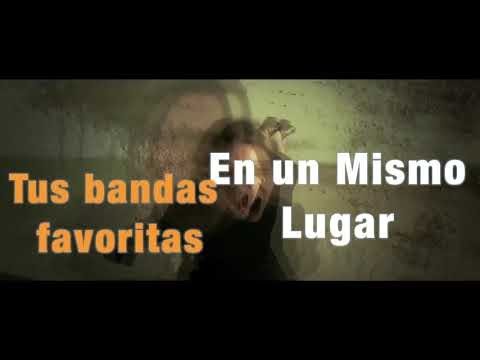 AVISPA MUSIC - Teaser Canal