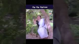 Silu Silu Siluvena சல சல சலவன Chithra