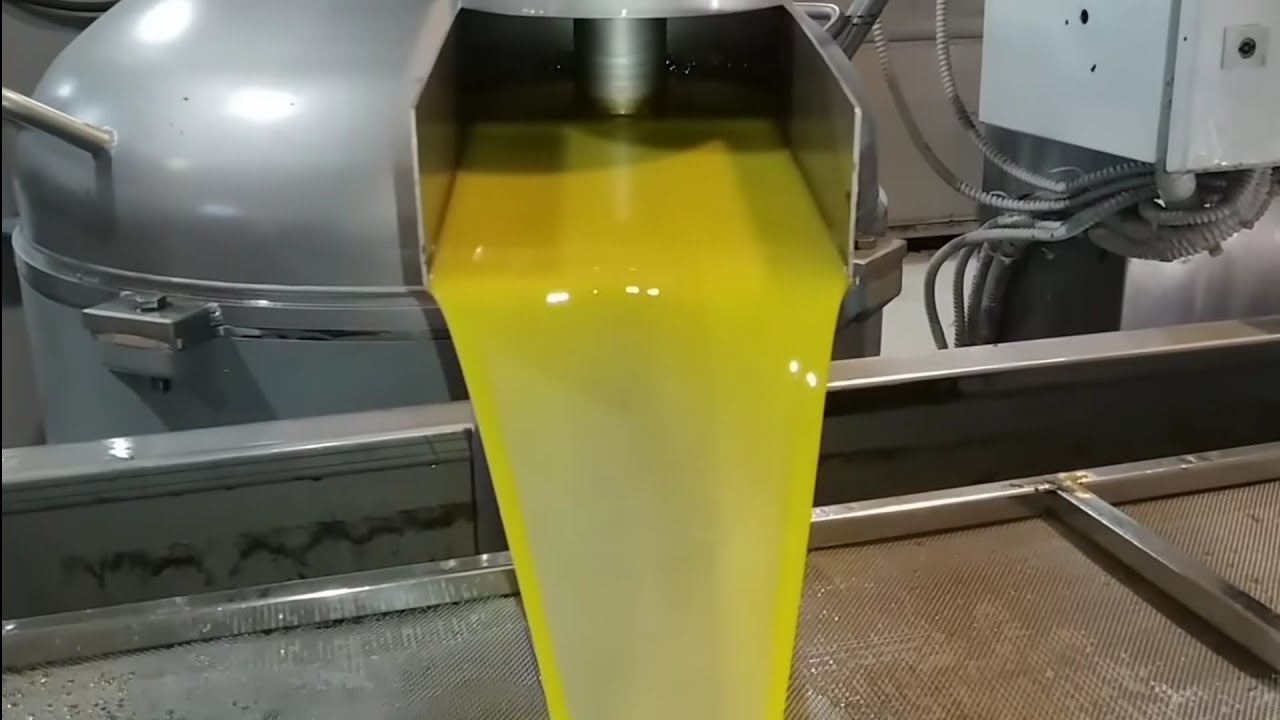 Πως βγάλαμε το λάδι..απο την ελιά στο πιάτο μας!