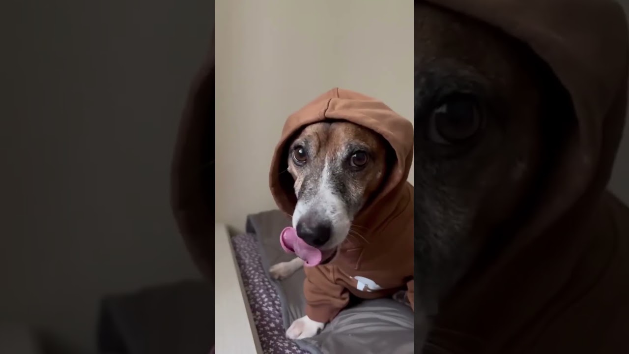 Chivas looks amazing in questa felpa con cappuccio🔥🤩