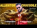 🐊Crocodile aur Alligator same nahi hote!Difference jaan kar hairaan reh jaoge 😱🔥 #wildlife #facts 