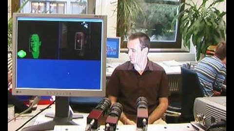 Real-Time Face Pose Estimation from Single Range Images