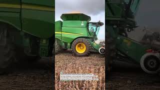 High-Speed Soybean Harvesting Beast 🚜🌾 #Farming #Harvest #AgriTech