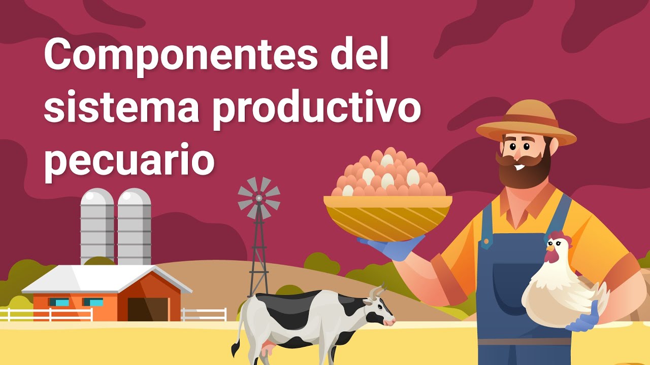 Componentes del sistema productivo pecuario - YouTube