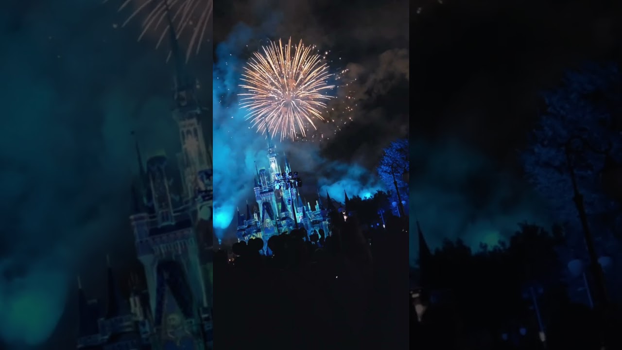 This is why we love Disney World 🥹✨ #disneyfan #fireworks