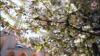 فخوراً بإسلامي |عبدالله المهداوي |  HD