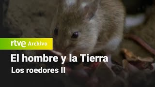 El hombre y la tierra: Chapter 77  Rodents II | RTVE Archivo