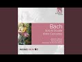 Concerto in d minor for two violins bwv 1043 i vivace