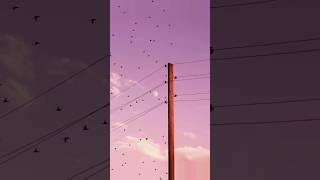 Alone - Alan Walker Dj Valka (Slowed + Reverb)