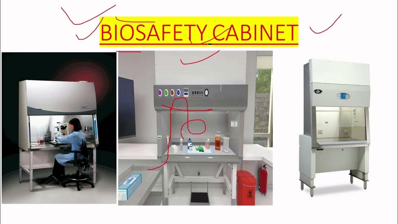 BIOSAFETY USE IN MICROBIOLOGY LAB IN HINDI YouTube