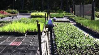 Biosecure Haccp Crop Monitoring Procedure