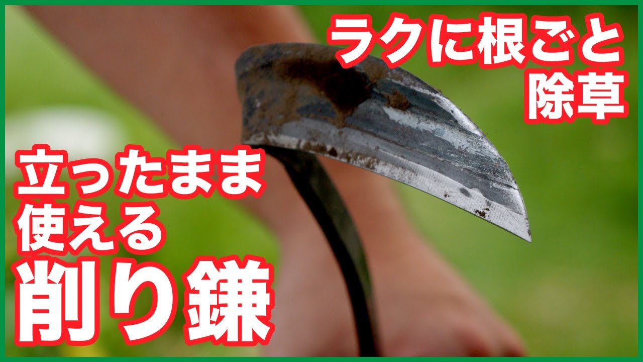 【使い方】立ったままラクに根ごと草を取りたいなら明利の「削り鎌1050mm」がいいぞ！【ねじり鎌】