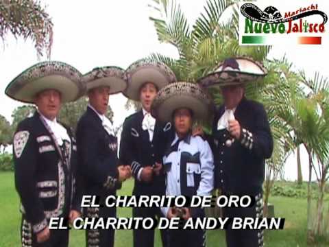 " EL SON DE LA NEGRA " MARIACHI NUEVO JALISCO - DI...