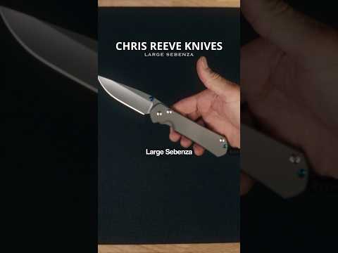 Chris Reeve Knives Large Sebenza 31 | EKnives Review     