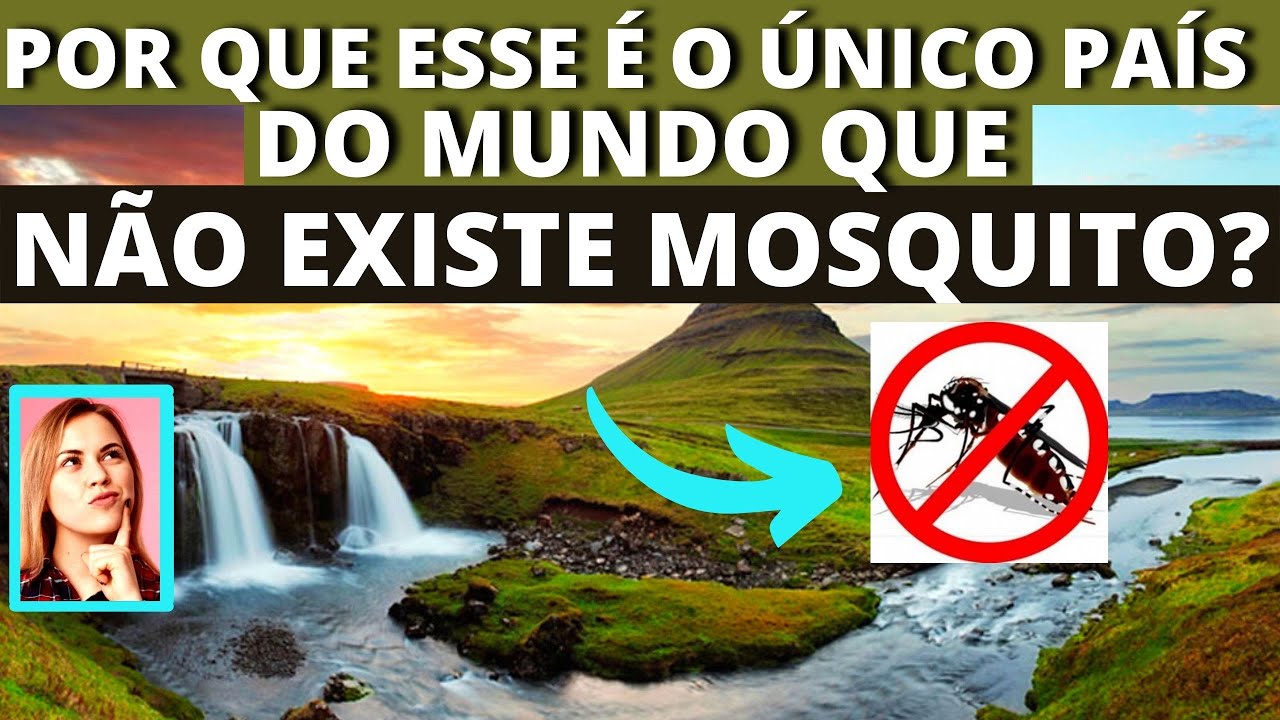 SAIBA POR QUE A ISLÂNDIA É O ÚNICO PAÍS DO MUNDO ONDE NÃO EXISTEM ...