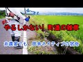 所有地じゃない草刈り続く!農業を知らないド田舎の非農家。