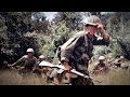 The Second Korean War: A Forgotten Conflict 1966 - 1969
